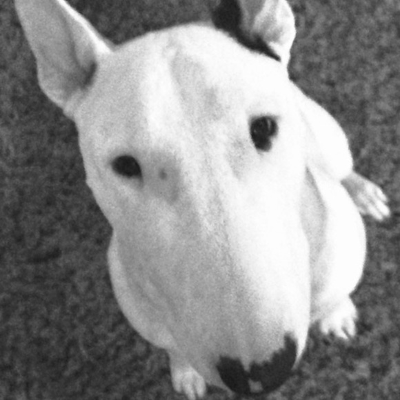 Meet your Posher, J - Picture 2 of 2